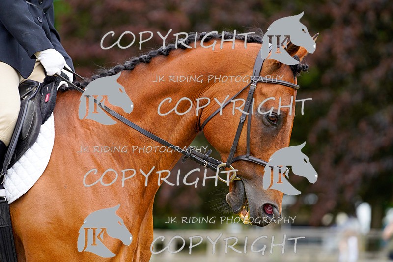 _DSC0964 - CLASS 2 INTRO 4