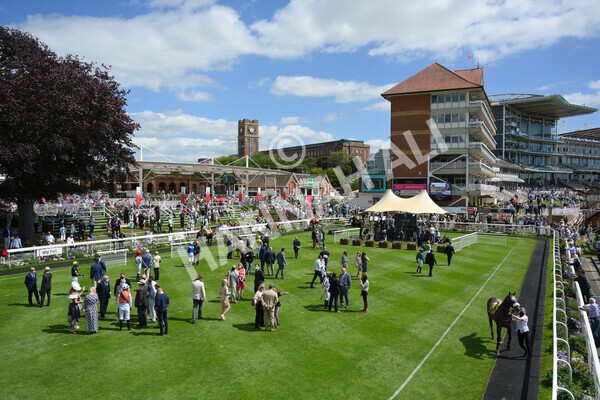 yr12062021r2-14 - Race 2 2.35pm The JCB Stakes