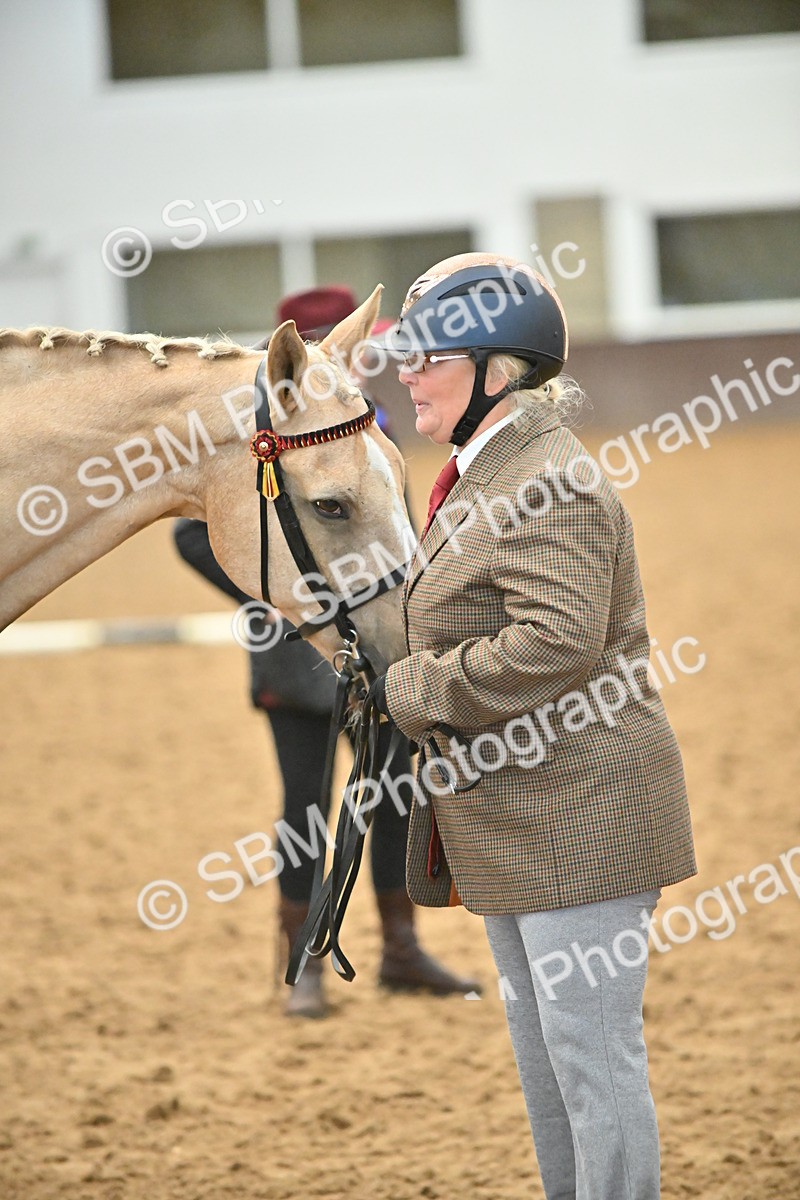 EB7_8410 - Class 3 - In Hand Foreign Breeds & Warmbloods