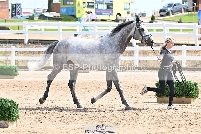 240717A-150909-02583 - Trot Up 3pm to 4pm