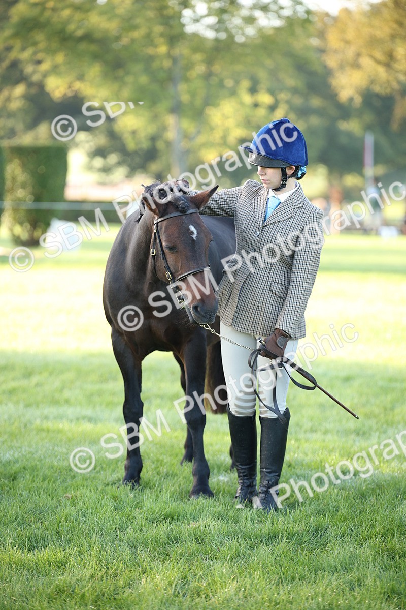 SBM_32343 - S8 - Best Turned Out