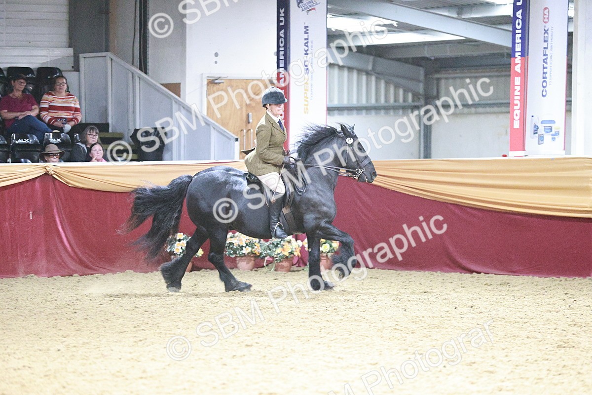 SBM_09034 - Class 12R - Regional Ridden Pre-Vet