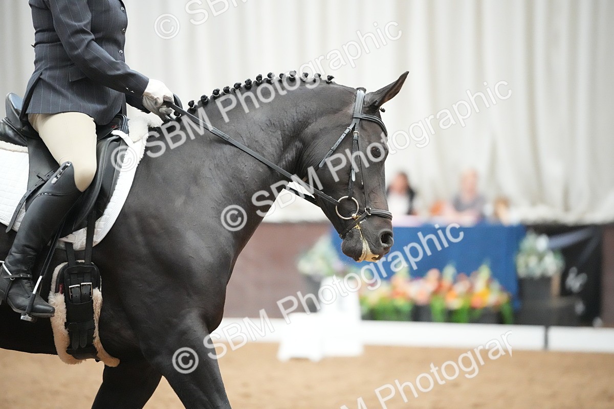 SBM_004745 - Class 11 - Elementary 2 Champs