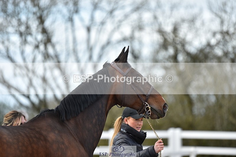 240417A-151430-00792 - 3pm to 4pm