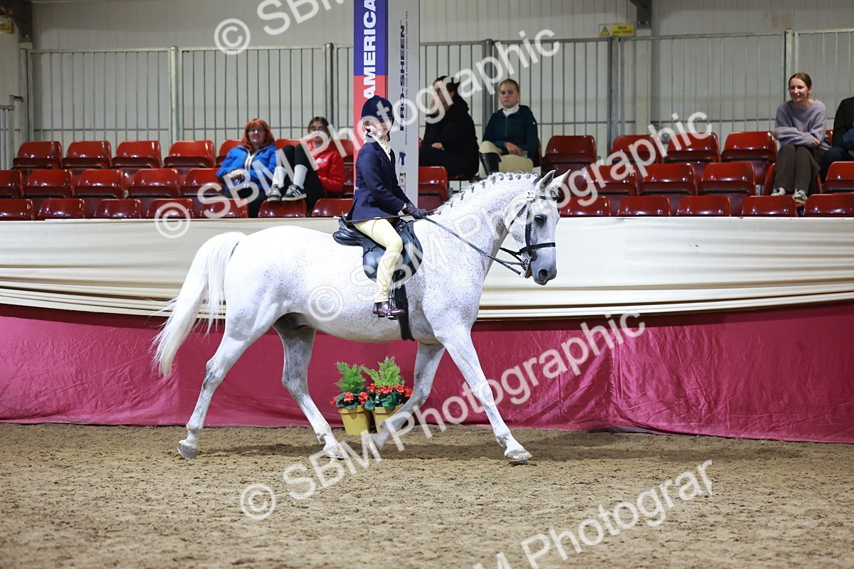 SBM_21538 - Class V - Champion of Champions