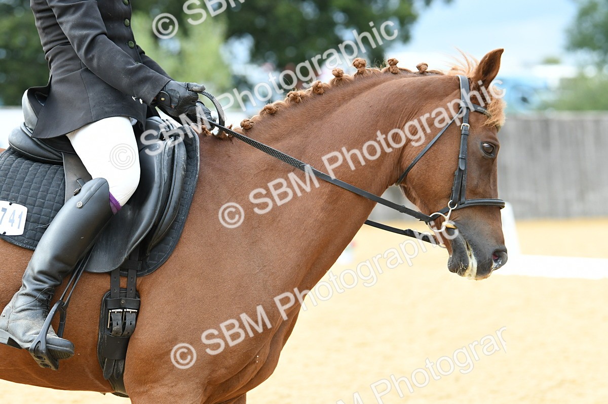 SBM_10979 - D28 Elementary Taster Elementary 42