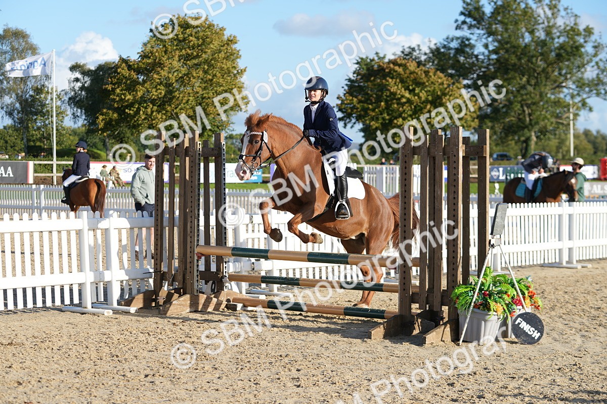 SBM_53861 - J8 - Junior Pony 65cm Championship
