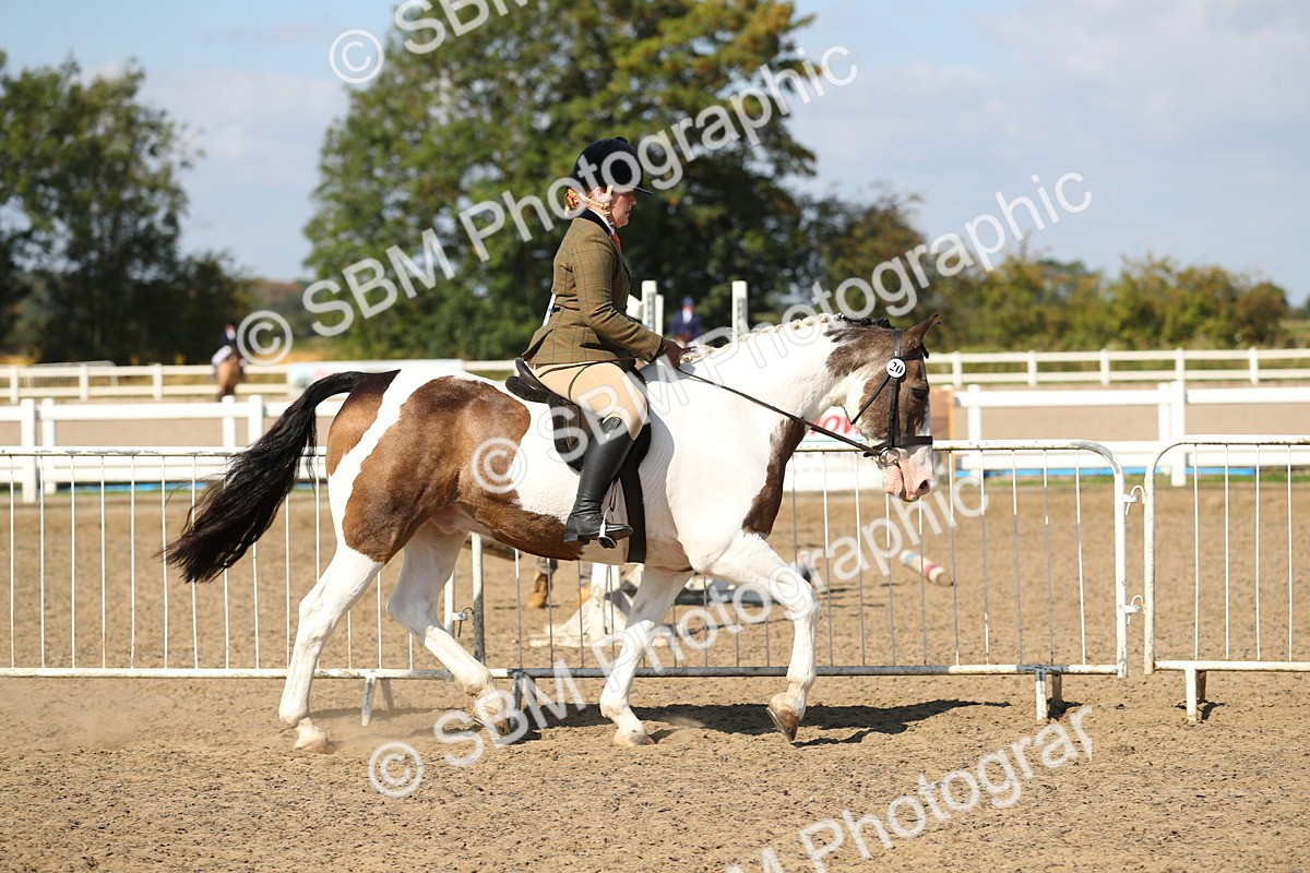 SBM_03114 - Class 44 Riding Club Horse/ Pony