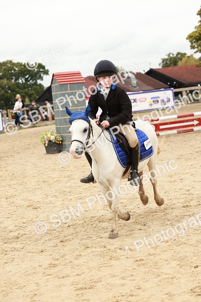 SBM_65242 - Supreme Championship 50cm & 55cm
