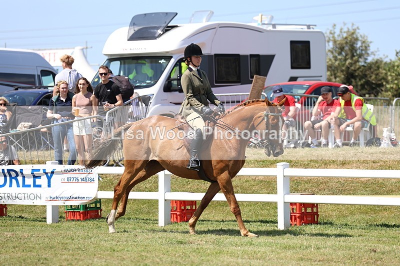 3E7A7846 - Class 7: Open Riding Horse