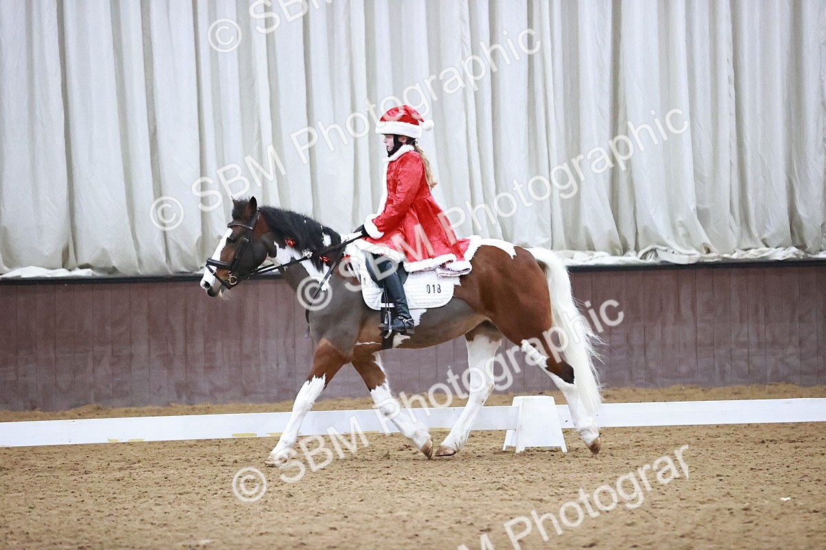 SBM_000204 - Class 1-4 - Intro - Prelim 1