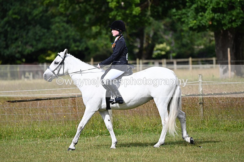 WJ6_8490 - Class 9 Tack & Turned out
