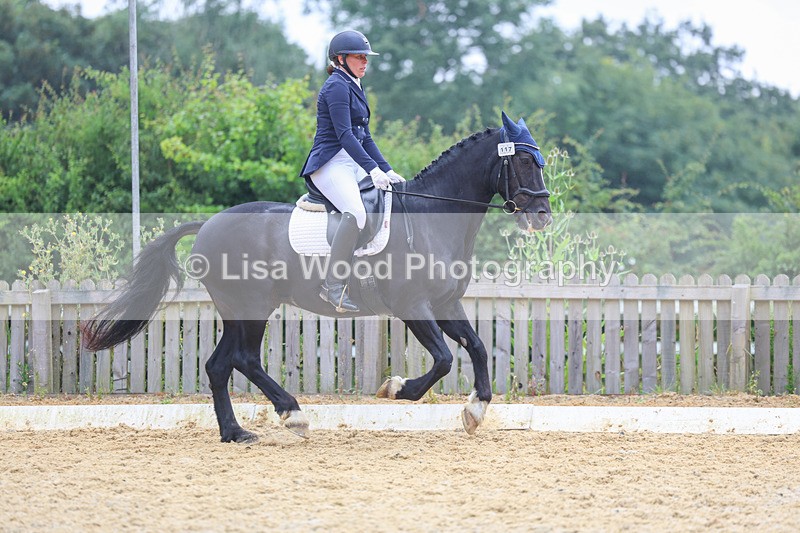 3E7A9876 - Class 6: Novice 3 2024 Section B