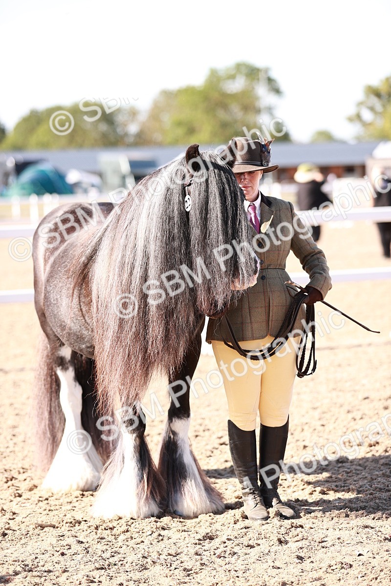 SBM_12604 - Class 404 - IH Traditional - Native Cob