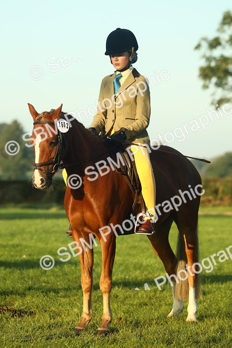 SBM_56557 - S36 - Starters Best Turnout