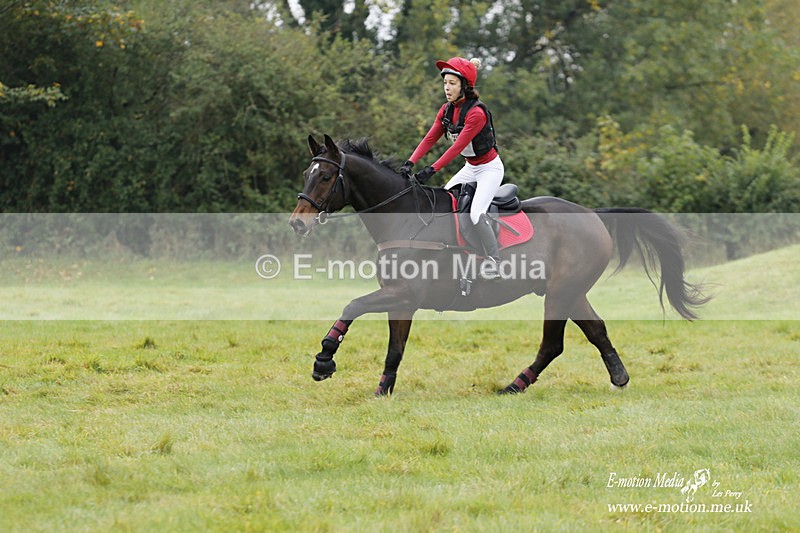  WWHT 171021 1114 - Open Novice (0.80m)  17/10/21