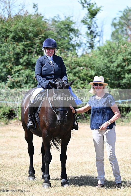 WJ7_3190 - Class 7 Riding Club Show Horse