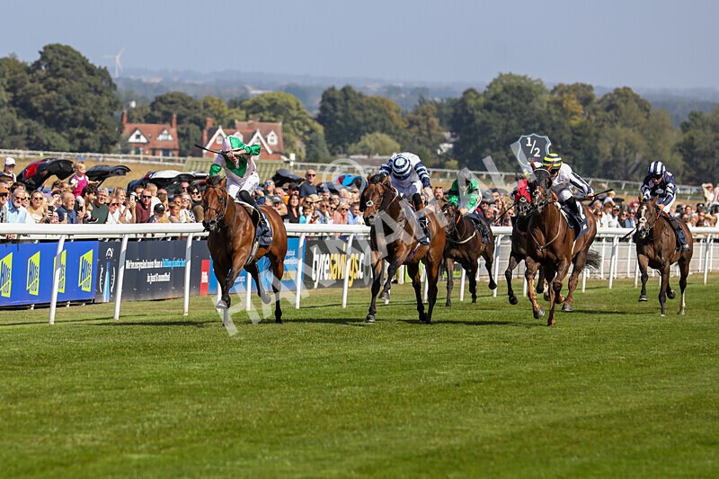 310824-Race 2-Democracy Dilemma-1117 - Race 2