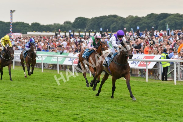 170623-Race 5-Twilight Romance-7178 - Race 5 4.15pm Reg Griffin Appreciation ebfstallions.com Maiden Stakes