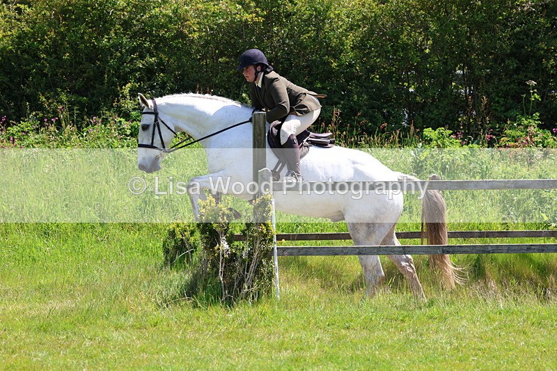 3E7A7490 - Class 31: Working Hunter Cob/Riding Horse