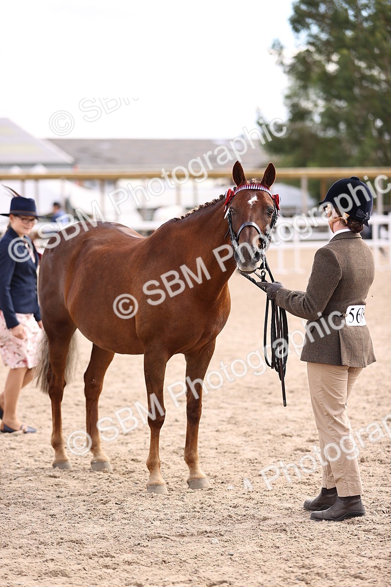 SBM_14474