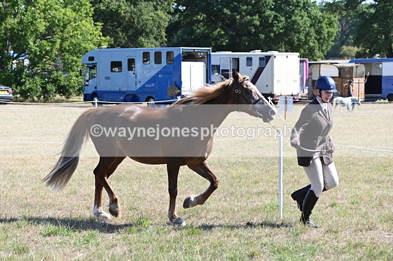 WJ6_4496 - Class 17 Mountain & Moorland