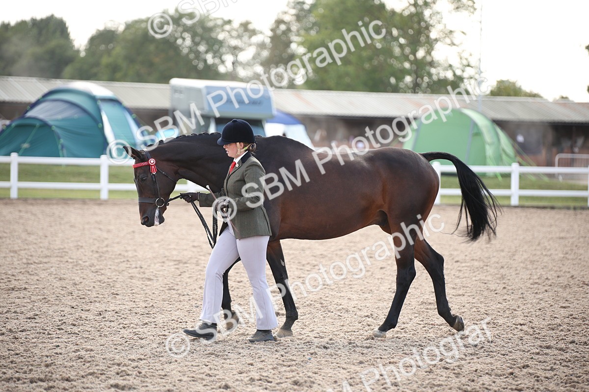 SBM_07112 - Class 25 IH Foreign Breeds- Pure bred