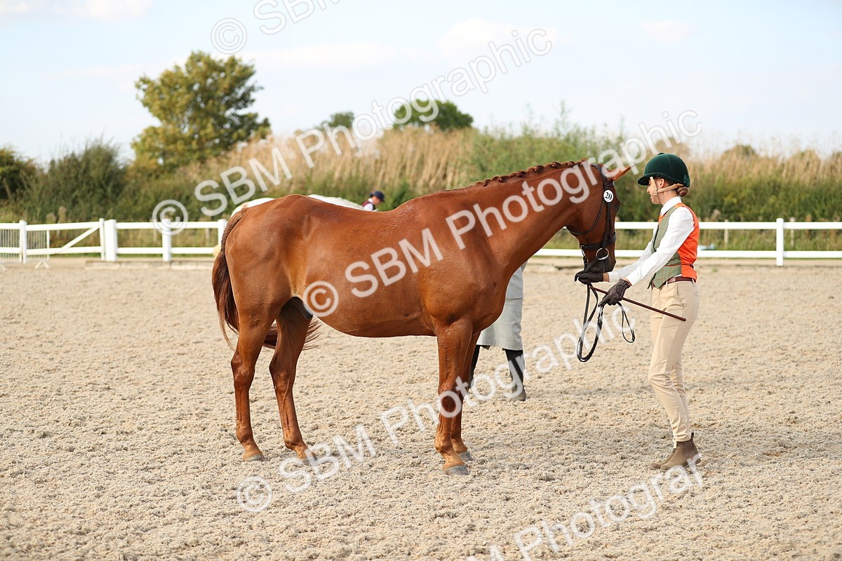 SBM_08615 - Class 28 - IH Veteran Horse