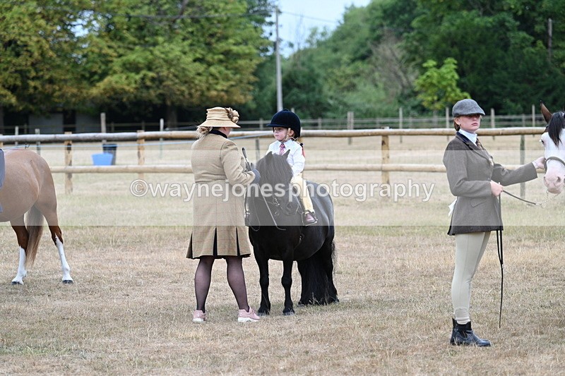 WJ7_8207 - Class 4 Prettiest Mare up to 14.2hh