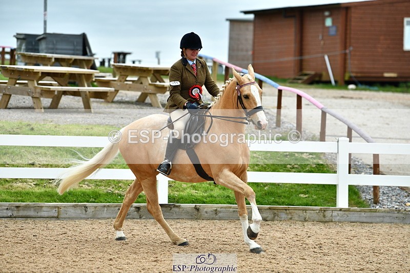 230416A-140120-04990 - Cls 60 Ridden Show Horse