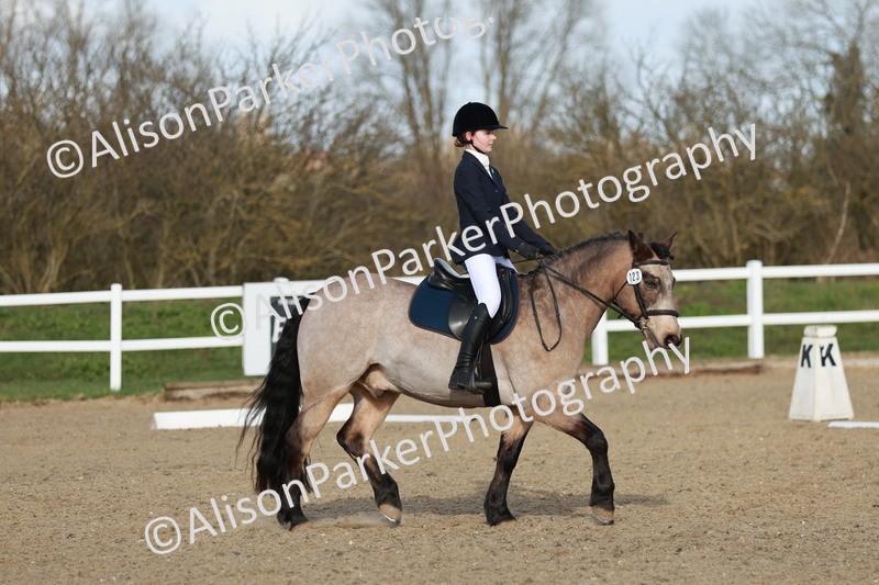 20260314-5376 - DR4 - Prelim 2