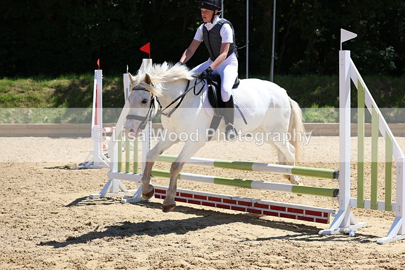 3E7A2545 - Class 4/5: 60cm Open Teams and Individuals