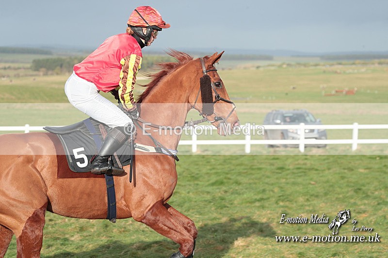 PtP 311223 450 - Larkhill Racing Club Point-to-Point 31/12/23