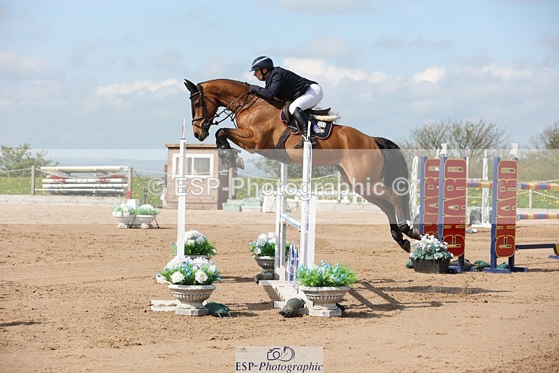 250427-105342-15680 - Cls 36 Young Horse 7yr old