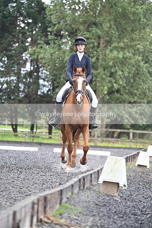 WJ7_6683 - Time 14:49 to 15:14