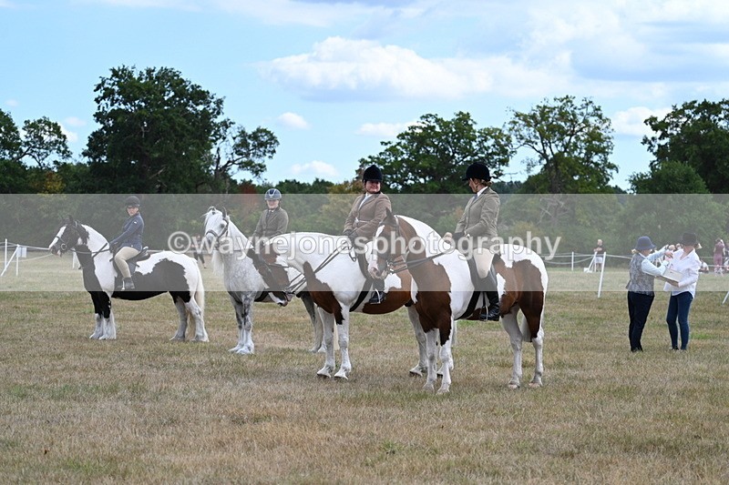 WJ7_5498 - Class 12 Ridden Cob