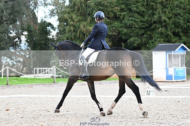 231110-145855-02072 - Cls 8 Medium 75Q