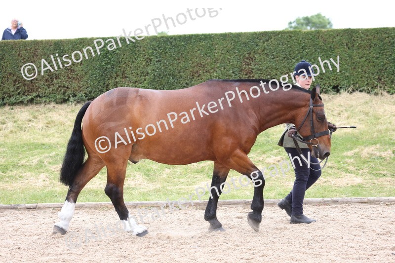 20250524-0956 - Class 9 - Cob and Hunter