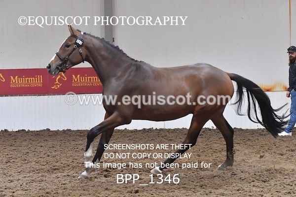 BPP_1346 - MORNING 9AM - 12PM