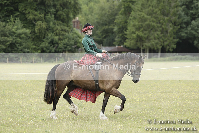 BVR160717-2423 - Side Saddle Classes 16/07/17