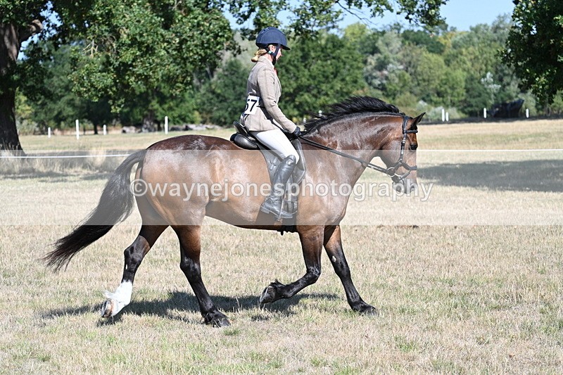 WJ7_3947 - Class 9 Mountain & Moorland Ridden