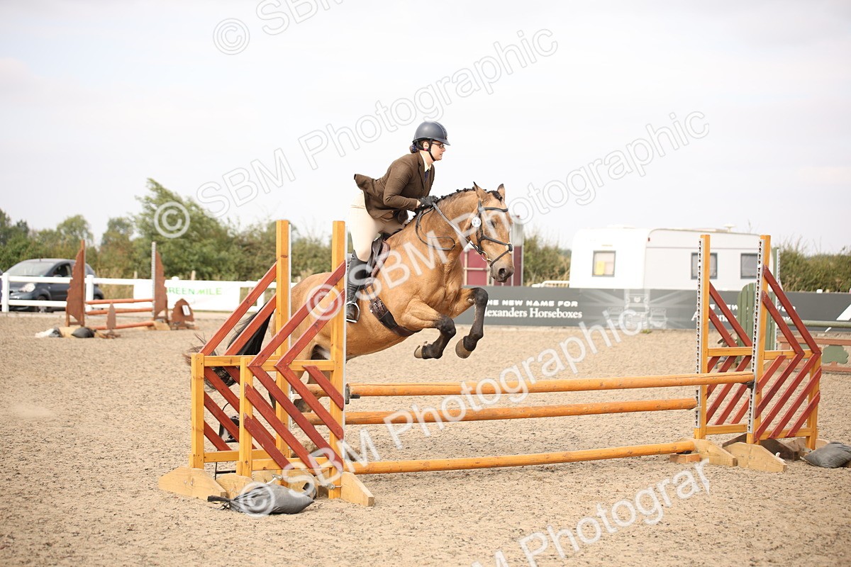 SBM_17117 - Class 409b - Working Veteran 80cm (20+)