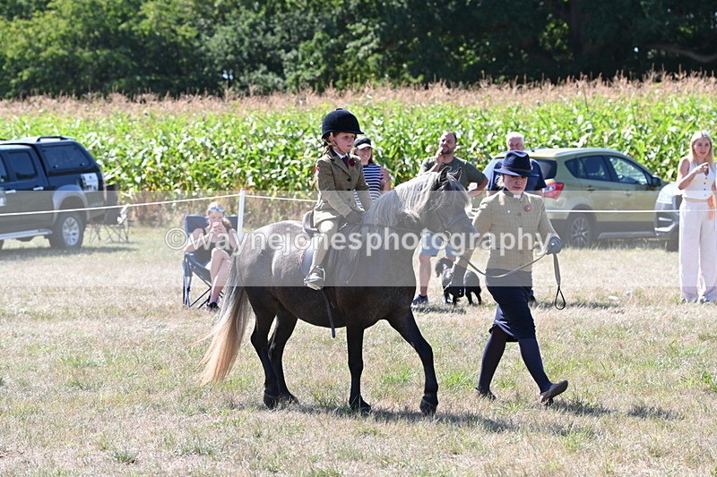 WJ6_7964 - Class 36 Lead Rein