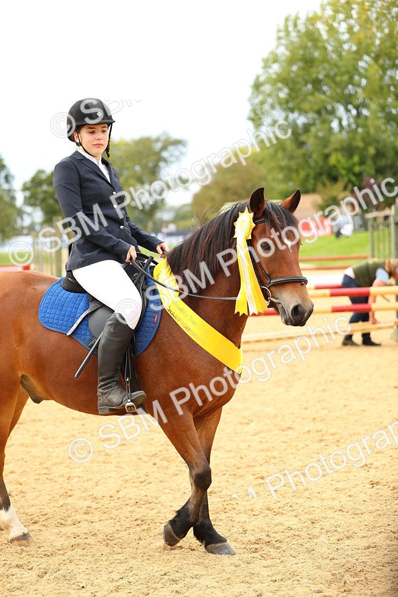 SBM_71294 - J18 - Junior Pony 85cm Championship