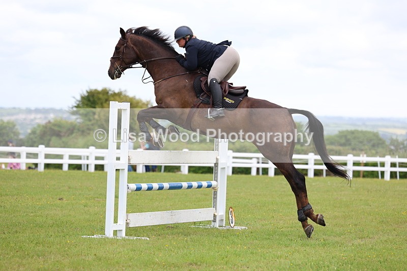 3E7A7070 - Class 12: Senior Foxhunter/1.20 open