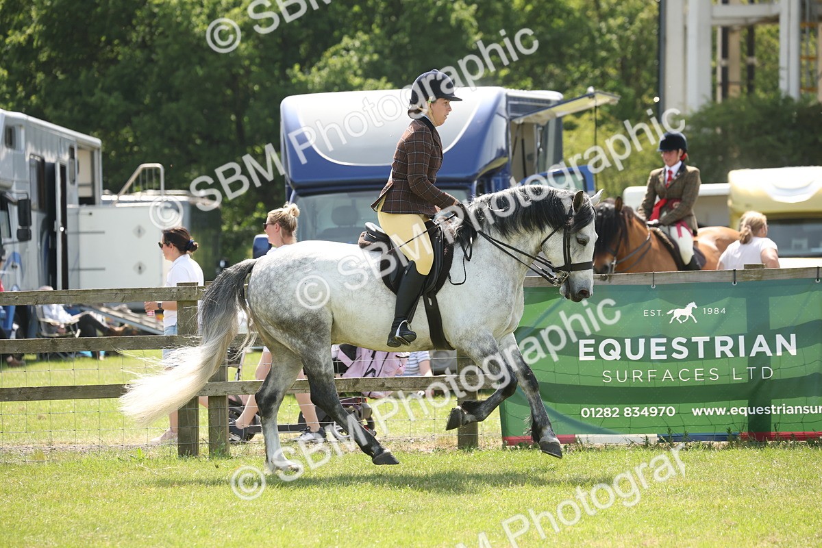 SBM_07602 - Class 26-30 - Mountain and Moorland Ridden