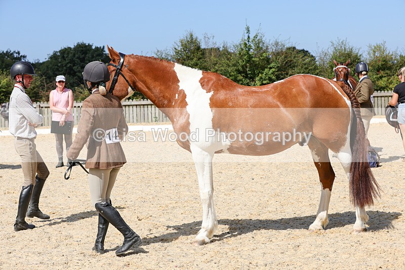 1X9A8284 - Class 12: Coloured Ridden