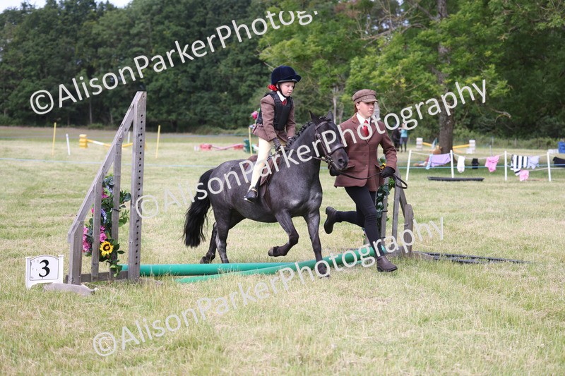20260614-0576 - Class 20 - Beginners Working Hunter Pony