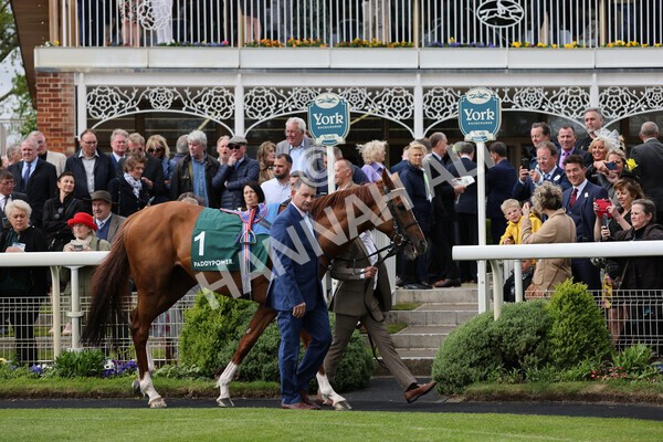 yr13052022r4-13 - Race 4 3.35pm The Paddy Power Yorkshire Cup (British Champions Series Race)