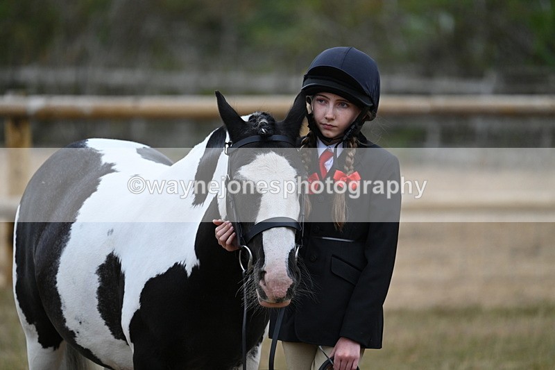 WJ7_8533 - Class 4 Prettiest Mare up to 14.2hh